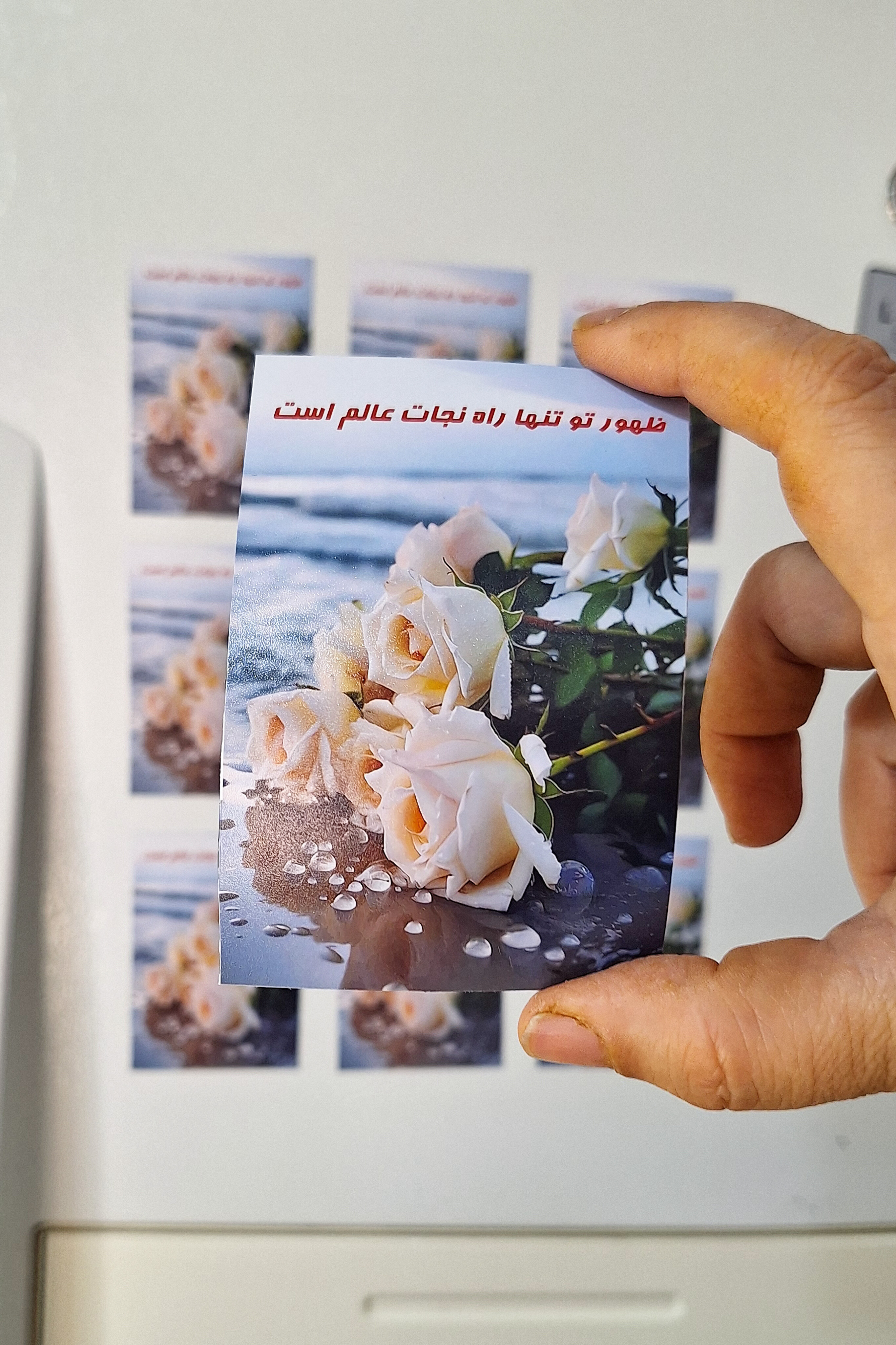 مگنت ها زیبایی یخچالتون رو چندین برابر می کنن خش نمی دانند و صذاب هستن